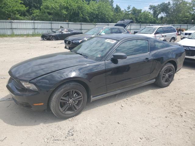 2010 Ford Mustang VIN: 1ZVBP8AN3A5128229 Lot: 58116864