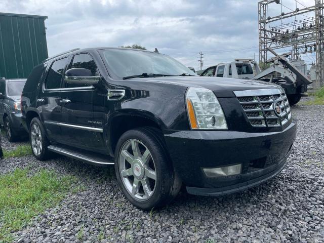 2013 Cadillac Escalade Hybrid VIN: 1GYS4EEJ4DR107446 Lot: 58031624