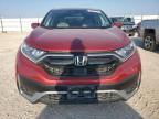 HONDA CR-V EX photo