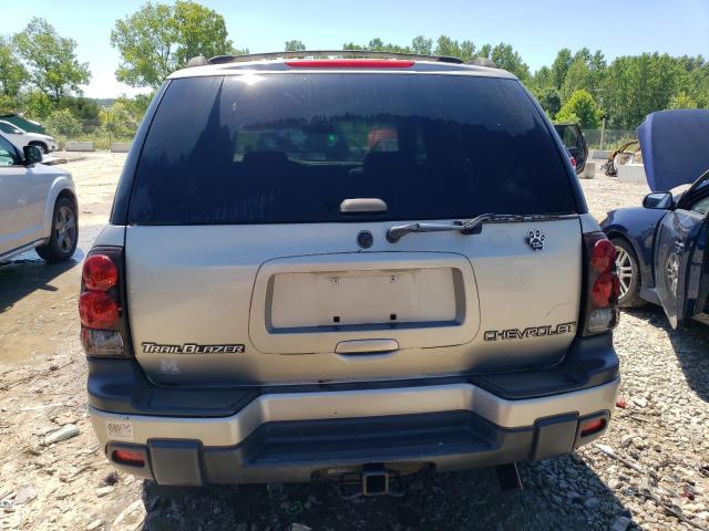 2003 Chevrolet Trailblazer VIN: 1GNDS13SX32337256 Lot: 58089774