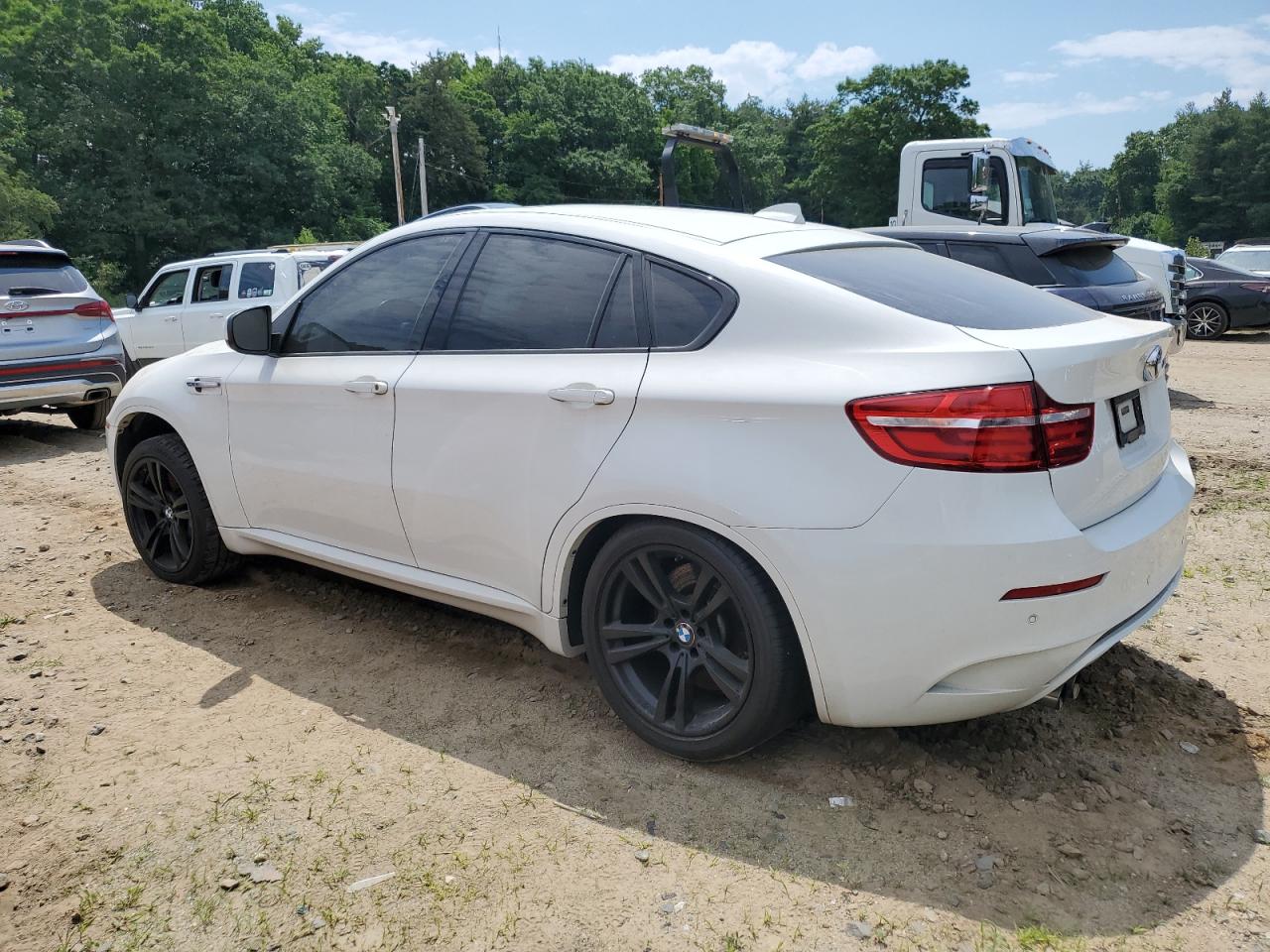 2014 BMW X6 M vin: 5YMGZ0C54E0C40746