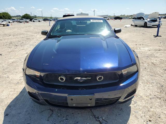 2010 Ford Mustang VIN: 1ZVBP8EN8A5168204 Lot: 58442424