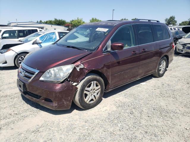 2007 Honda Odyssey Exl VIN: 5FNRL38747B060988 Lot: 60312234