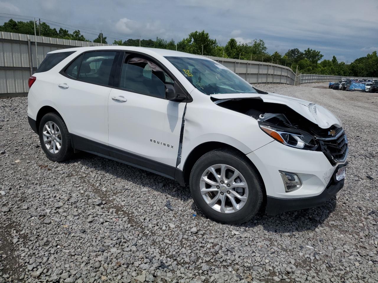 2019 Chevrolet Equinox Ls vin: 3GNAXHEV1KL196756