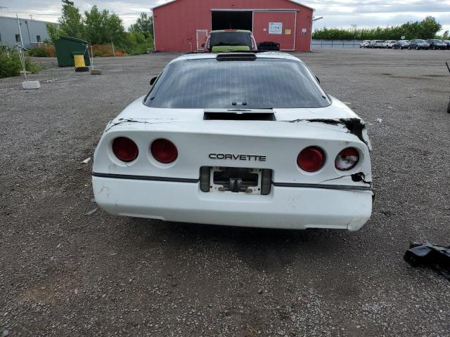 1989 Chevrolet Corvette VIN: 1G1YY2184K5116666 Lot: 57023104
