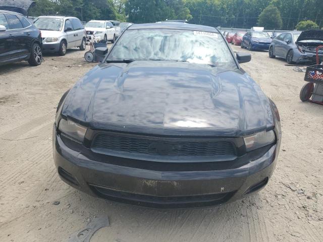 2010 Ford Mustang VIN: 1ZVBP8AN3A5128229 Lot: 58116864