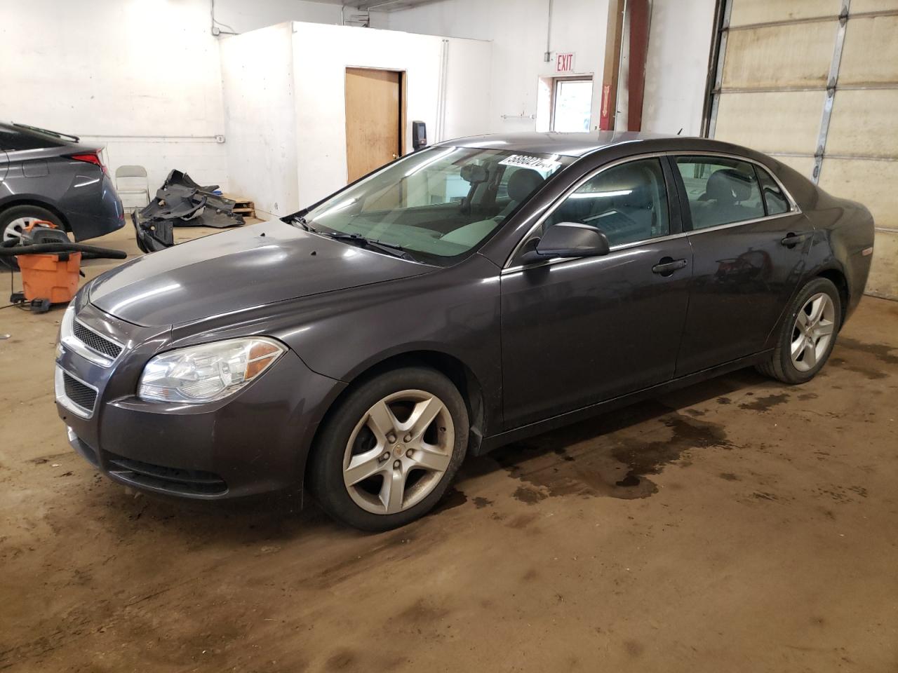 Lot #3019916879 2013 CHEVROLET MALIBU