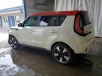 KIA SOUL + photo