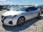 2022 NISSAN MAXIMA SV - 1N4AA6CV4NC502873