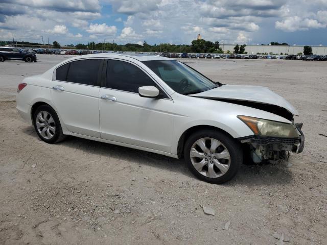 1HGCP36838A023237 2008 Honda Accord Exl