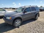 1FMYU011X2KD79672 2002 Ford Escape Xls