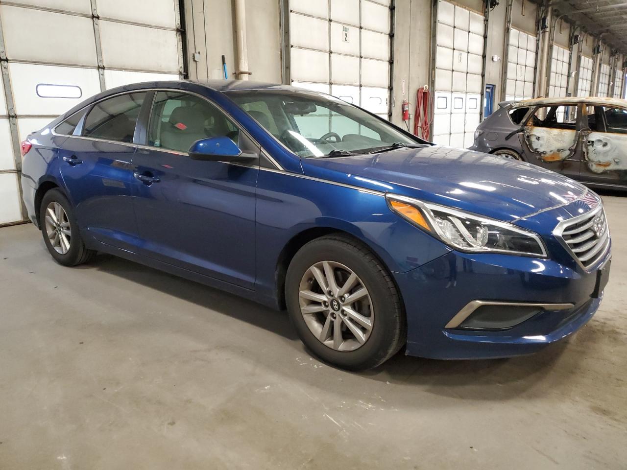 5NPE24AF7GH311786 2016 Hyundai Sonata Se