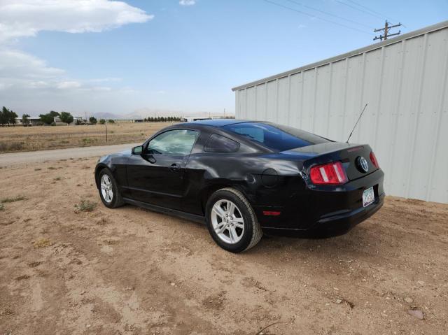 1ZVBP8AN4A5138123 2010 Ford Mustang