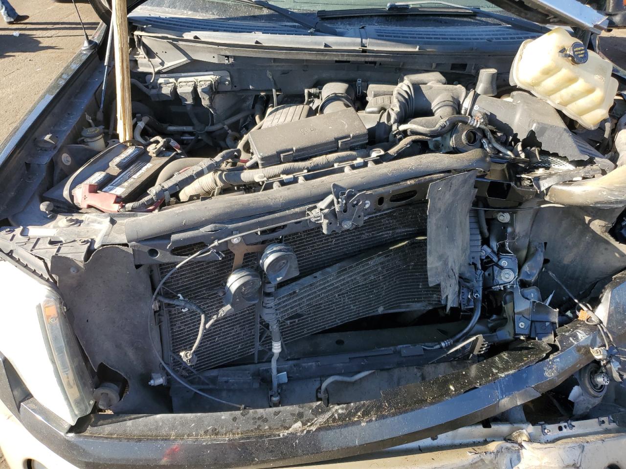 1FTFW1EV4AFD19564 2010 Ford F150 Supercrew