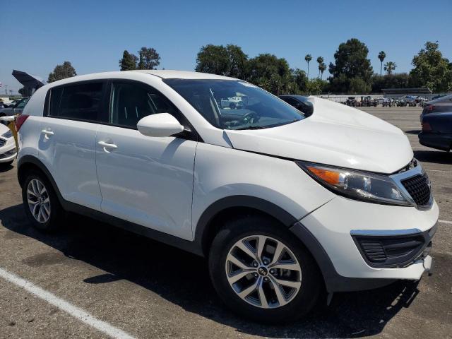 2014 Kia Sportage Base VIN: KNDPB3AC2E7628823 Lot: 58709224