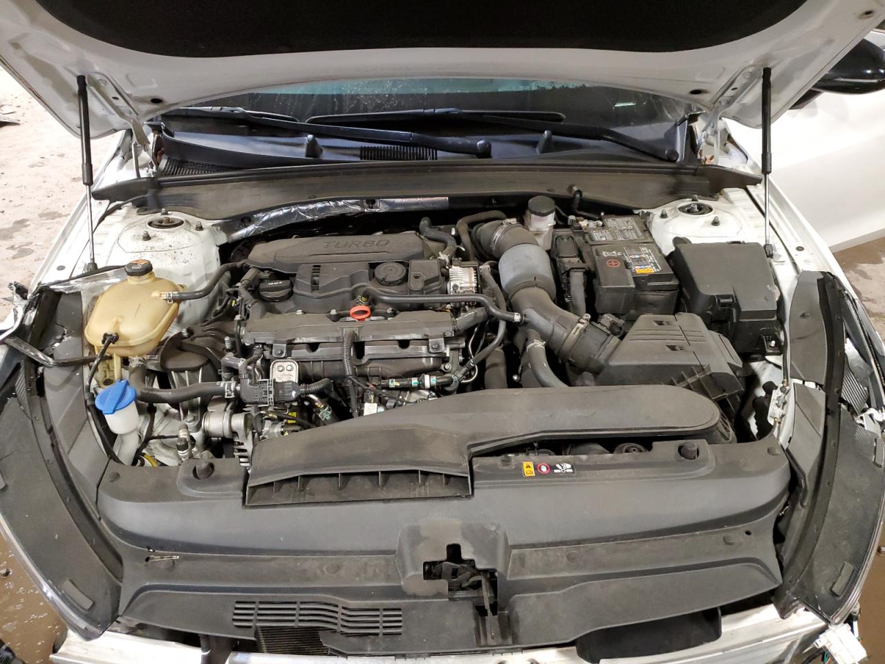 5XXG64J23PG182483 2023 Kia K5 Gt Line