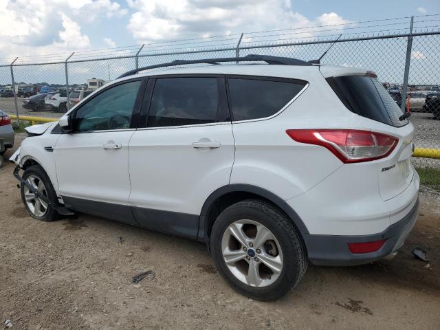 2014 Ford Escape Se VIN: 1FMCU0GX0EUE47606 Lot: 58510594