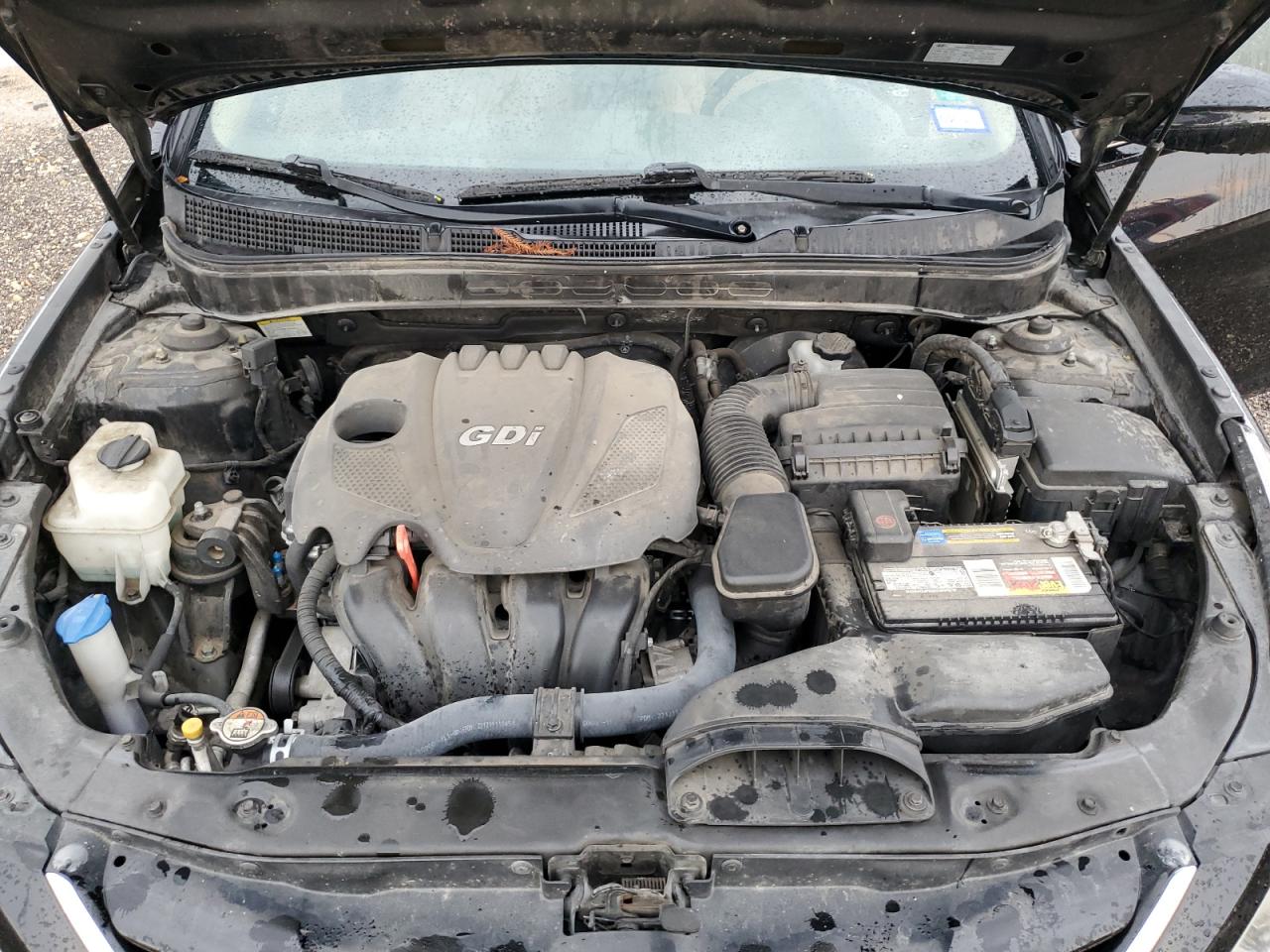 5NPEB4AC4DH782666 2013 Hyundai Sonata Gls