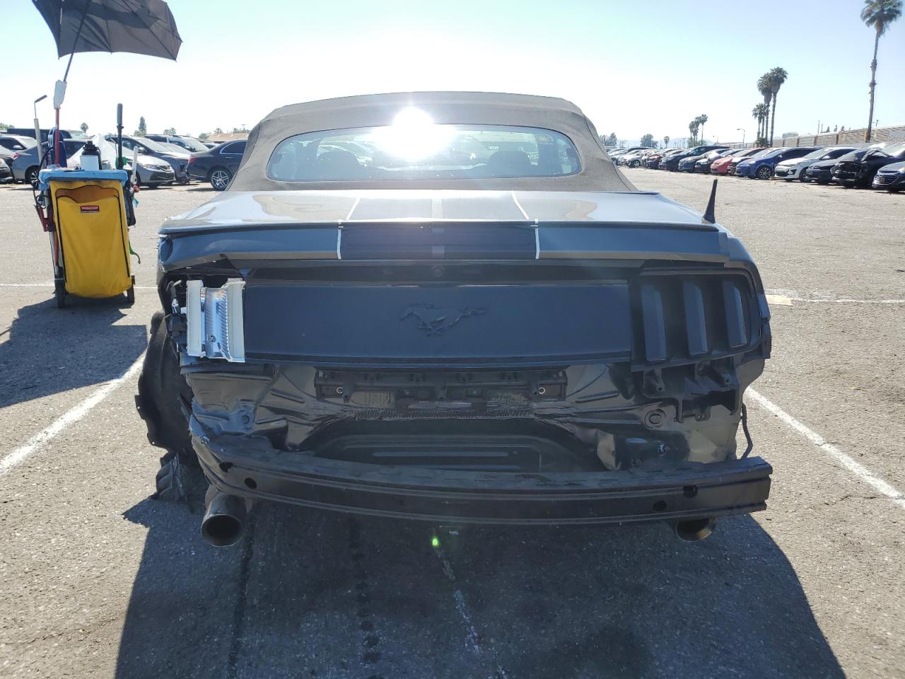 1FATP8EM9F5427343 2015 Ford Mustang