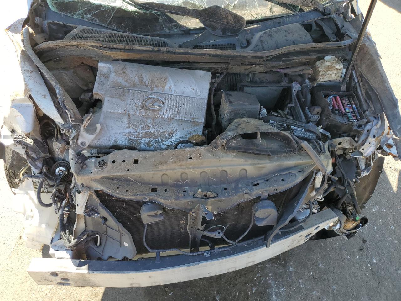 2T2BK1BA4AC051261 2010 Lexus Rx 350