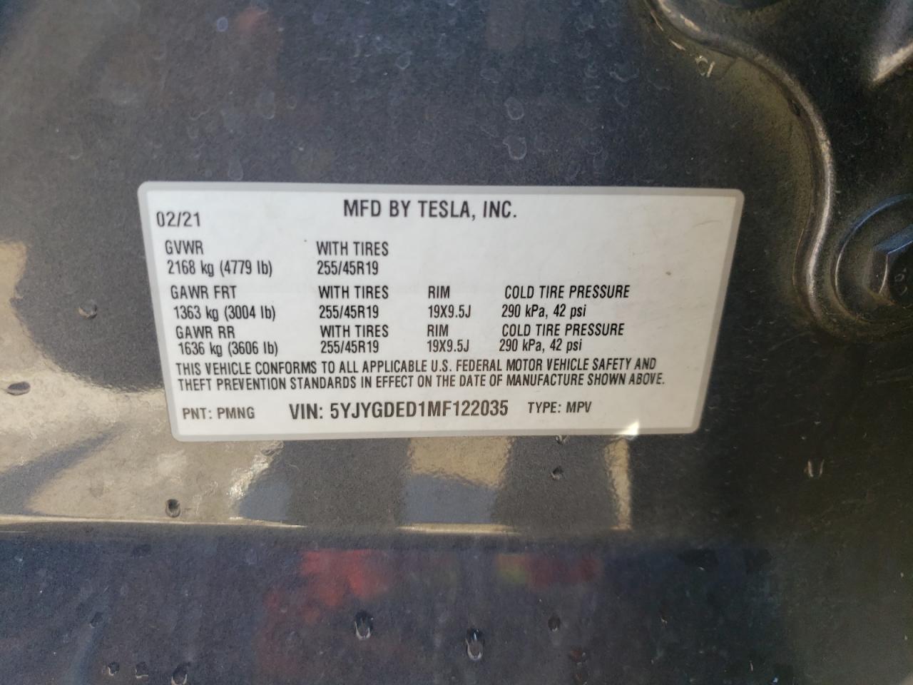 Lot #2804284498 2021 TESLA MODEL Y