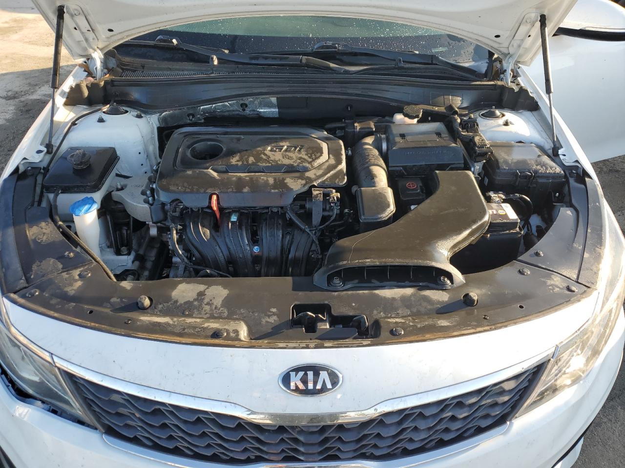 5XXGT4L30KG372667 2019 Kia Optima Lx