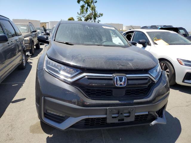 2020 Honda Cr-V Ex VIN: 7FART6H50LE019904 Lot: 57772264