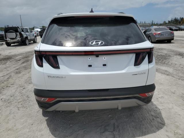 2024 HYUNDAI TUCSON LIM - KM8JECD17RU182260