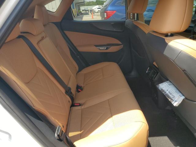 2024 LEXUS NX 350 LUX 2T2HGCEZ5RC056117