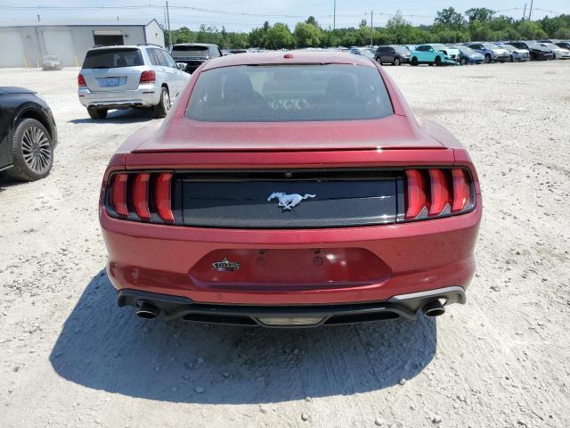2019 Ford Mustang VIN: 1FA6P8TH3K5146751 Lot: 58011574