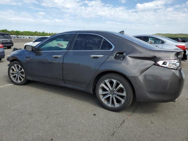 2009 Acura Tsx VIN: JH4CU26669C029019 Lot: 57389264