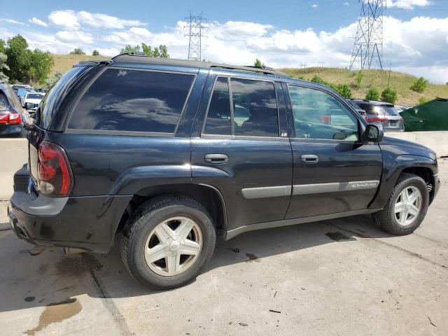 2003 Chevrolet Trailblazer VIN: 1GNDT13S132360714 Lot: 60504964