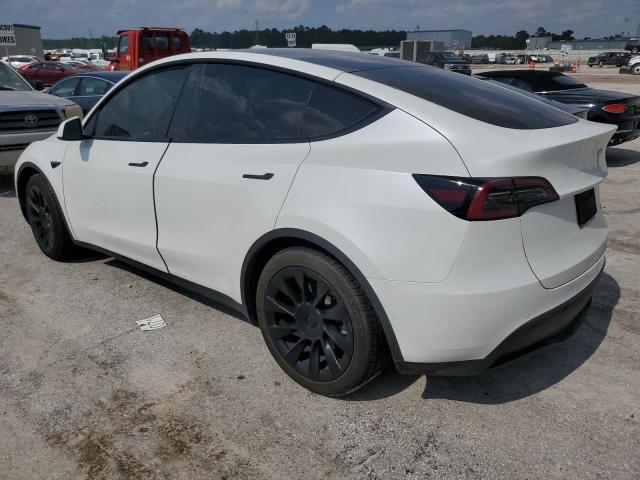 2022 Tesla Model Y VIN: 7SAYGAEE8NF383772 Lot: 57999014