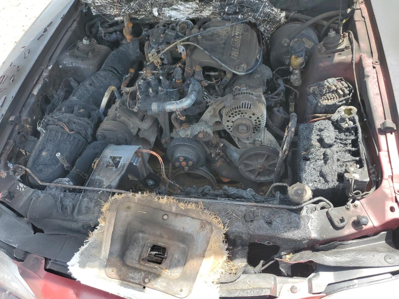 1FALP444XSF126496 1995 Ford Mustang