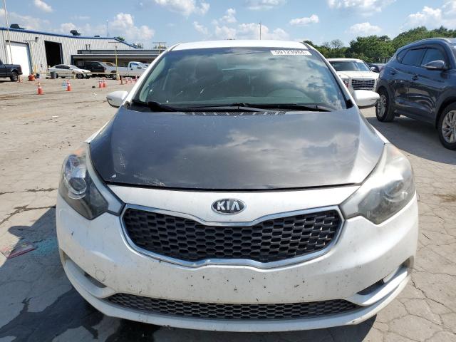 2016 Kia Forte Lx VIN: KNAFX4A68G5461392 Lot: 59123984