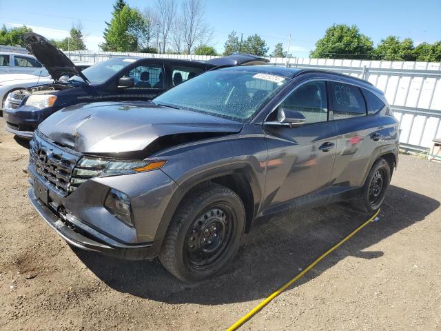 2023 HYUNDAI TUCSON LUX - KM8JCCA12PU130350