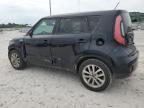 KIA SOUL + photo