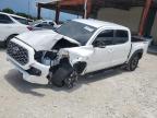 2023 TOYOTA TACOMA DOU - 3TMAZ5CNXPM216153