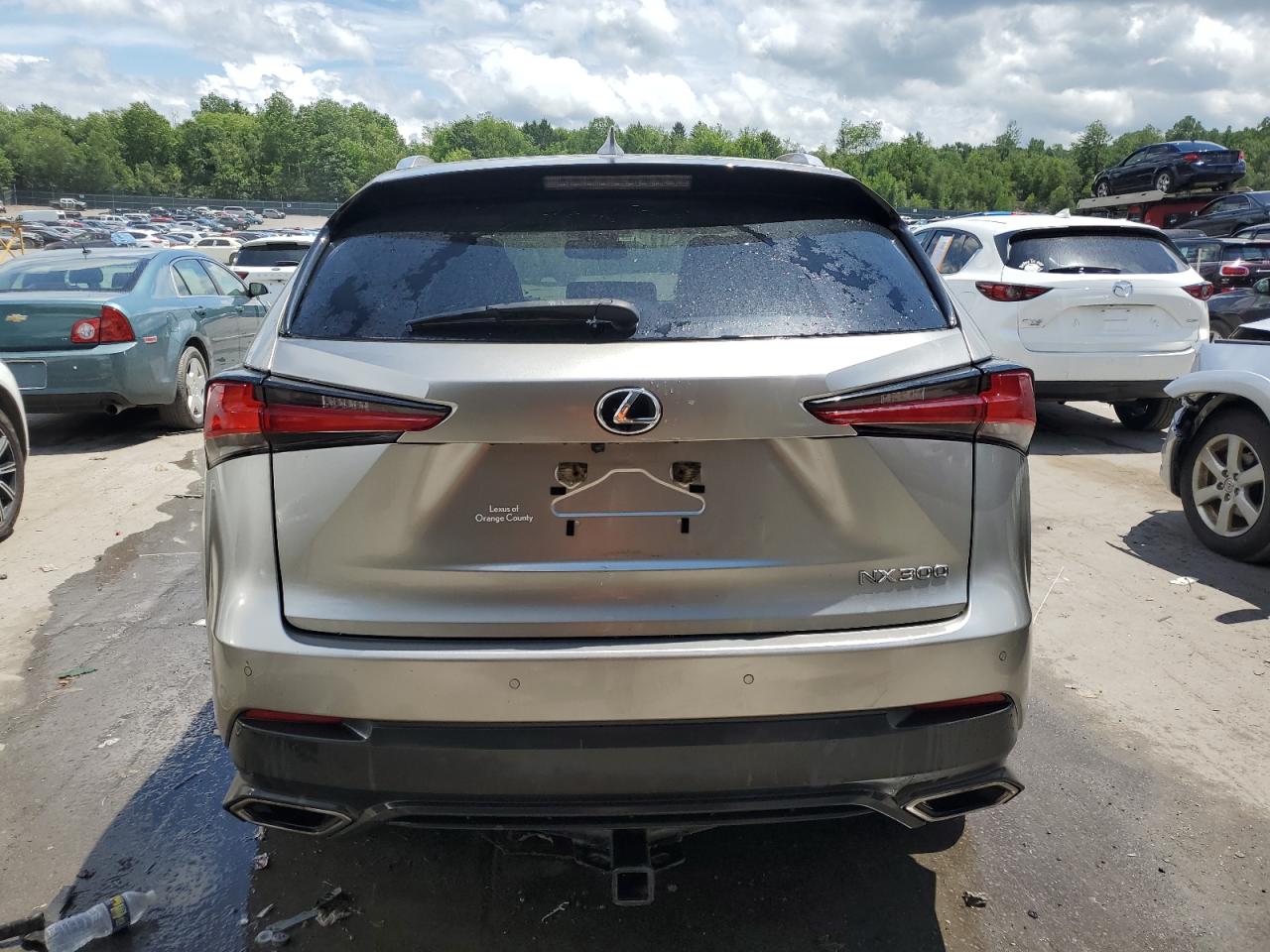 JTJGARDZXL5011536 2020 Lexus Nx 300