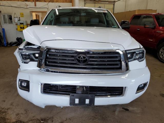 2019 TOYOTA SEQUOIA LI - 5TDJY5G14KS169284