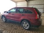 Lot #3024742240 2010 HONDA CR-V EX