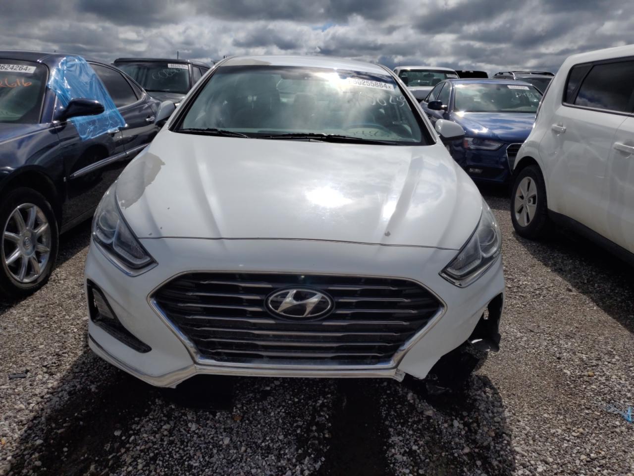 5NPE24AF5KH788239 2019 Hyundai Sonata Se