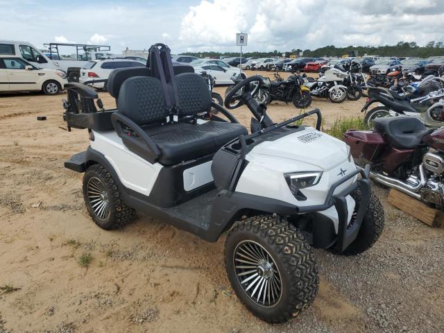 4C9A24H18PF701002 Golf Cart 2023