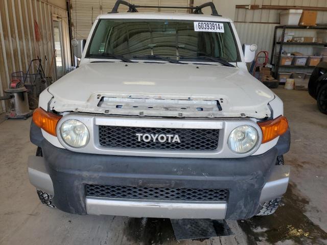 2010 Toyota Fj Cruiser VIN: JTEZU4BF1AK008582 Lot: 60393914