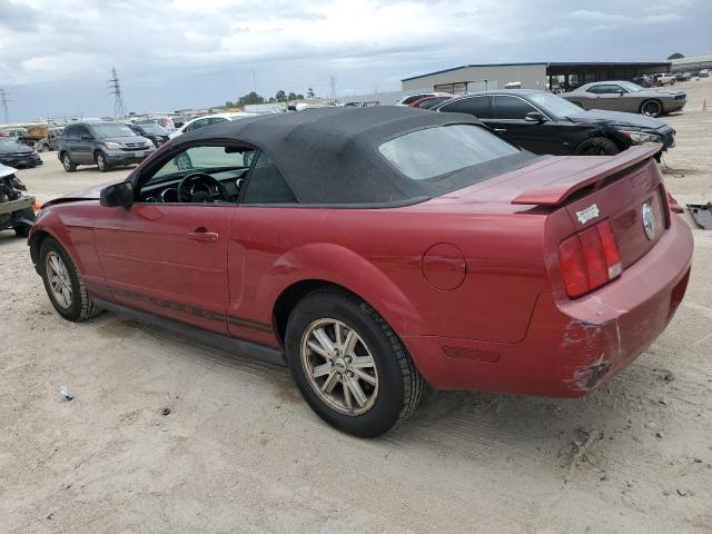 2006 Ford Mustang VIN: 1ZVFT84N665244279 Lot: 59408804