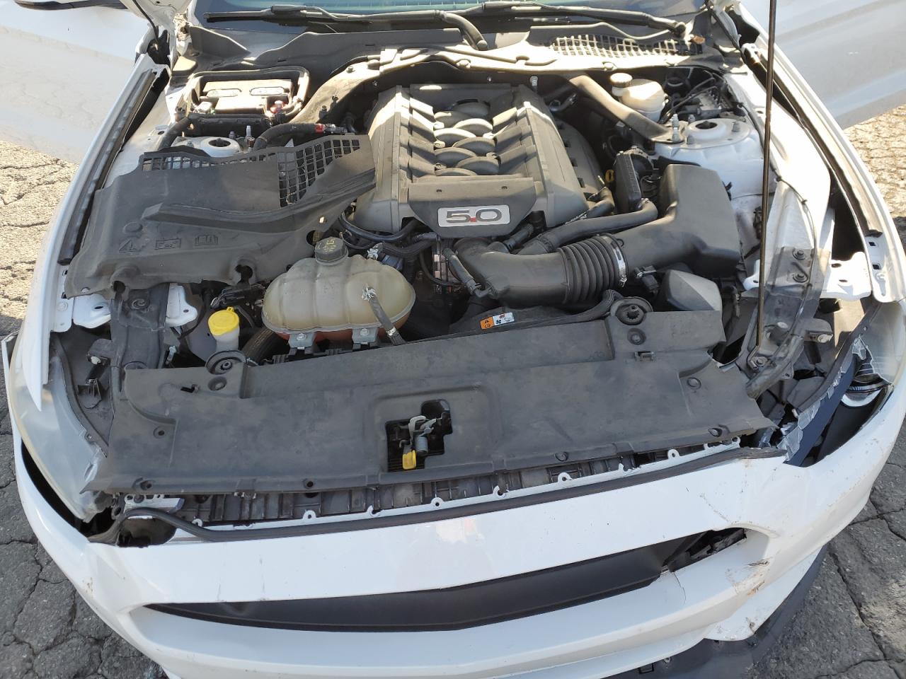 1FA6P8CF2G5252887 2016 Ford Mustang Gt