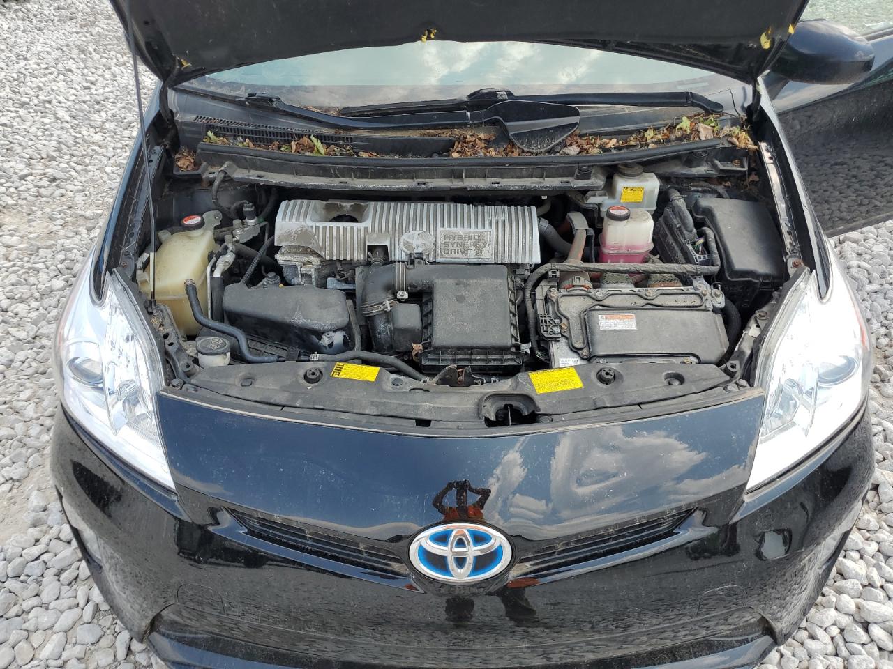 2015 Toyota Prius vin: JTDKN3DU1F0401686