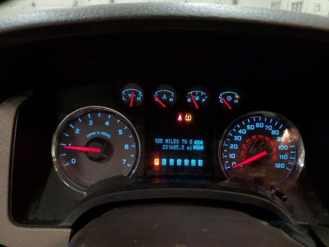 2010 Ford F150 Supercrew VIN: 1FTEW1E80AFB95203 Lot: 60095154