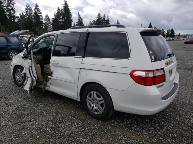 2007 Honda Odyssey Exl VIN: 5FNRL38727B405144 Lot: 57145374