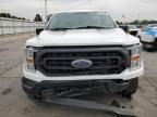 FORD F150 photo